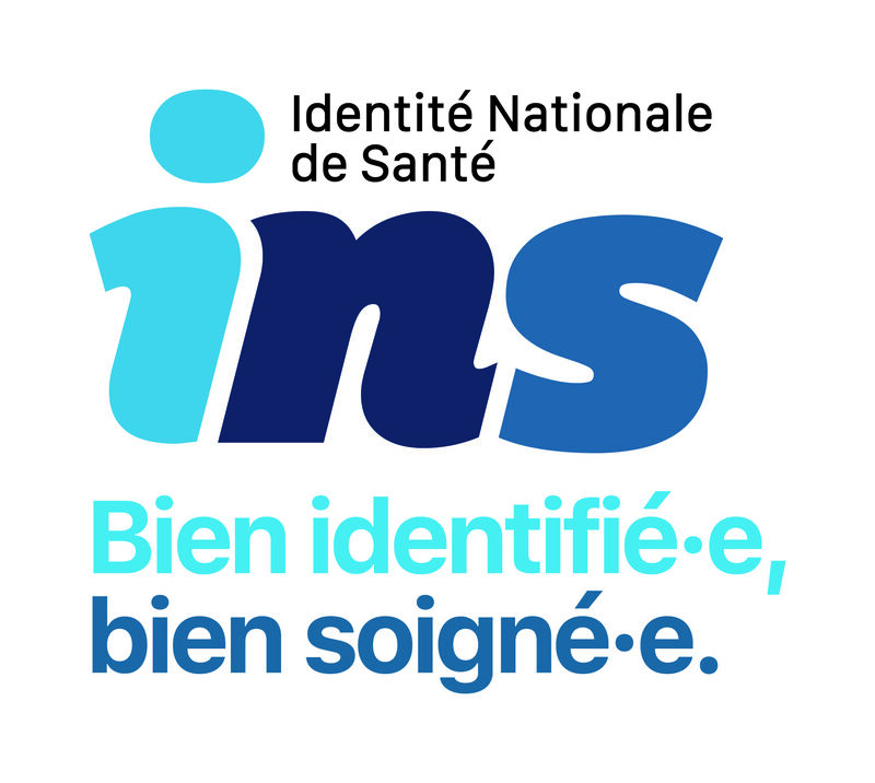 Logo INS
